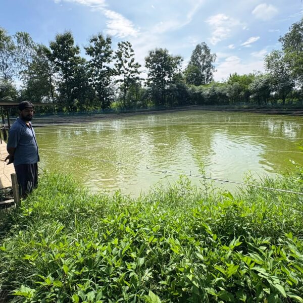 माछापालन व्यवसायबाट वार्षिक १५ लाख बचत